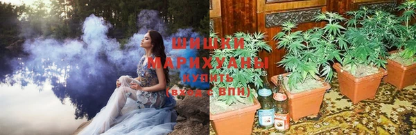 стаф Волосово